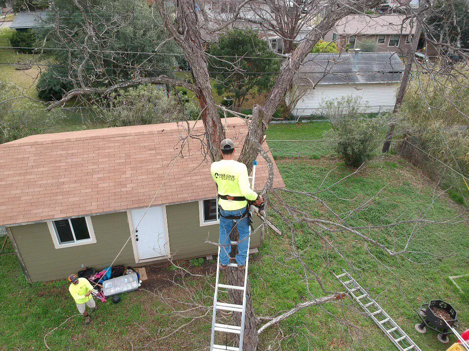 Affordable yard maintenance in San Antonio, TX by The Goat Lawn & Tree Services
