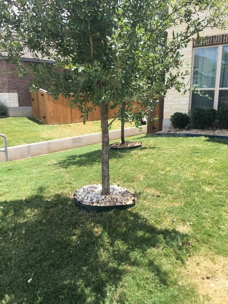 Trusted garden landscaping in San Antonio, TX by The Goat Lawn & Tree Services