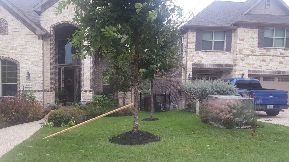 Local outdoor landscaping for beautiful yards in San Antonio, TX by The Goat Lawn & Tree Services