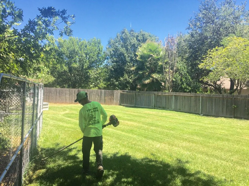 Top-rated yard maintenance for residential properties across San Antonio, TX - The Goat Lawn & Tree Services