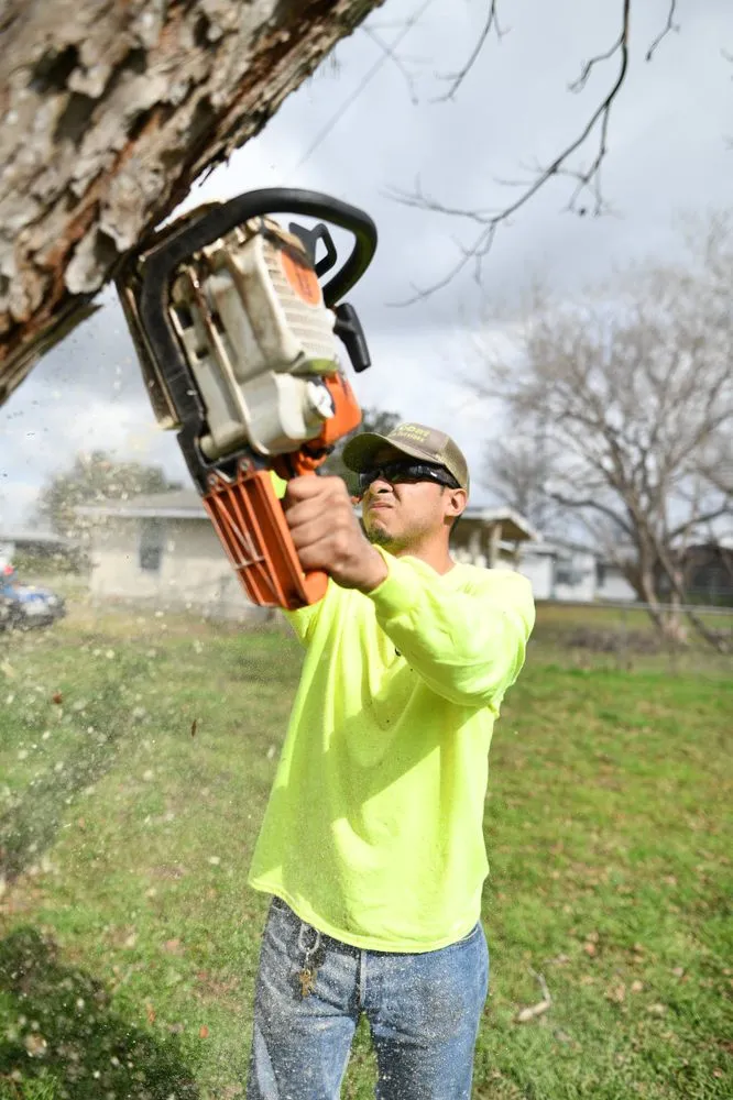 Reliable residential landscaping in San Antonio, TX by The Goat Lawn & Tree Services