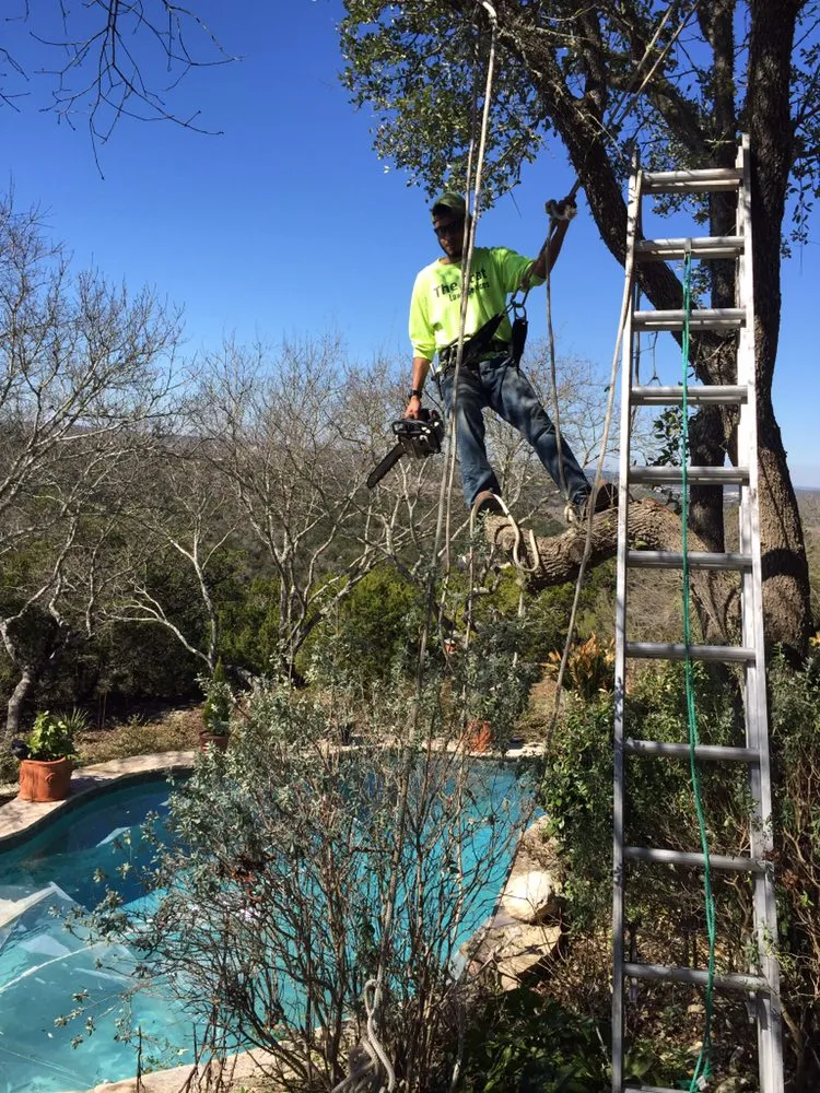 Top-rated yard maintenance in San Antonio, TX by The Goat Lawn & Tree Services