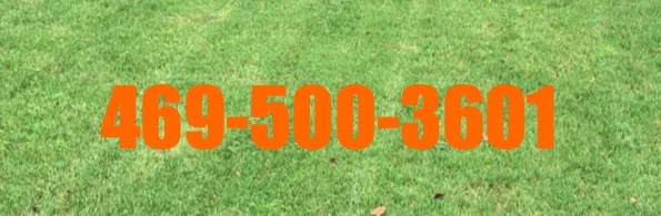 Top-rated garden landscaping in Sherman, TX - The Goat Lawn Care