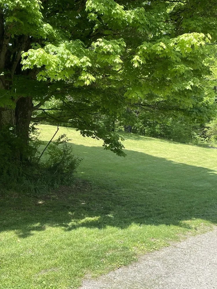 Affordable landscape installation in Knoxville, TN by The G.O.A.T. Mowing Company