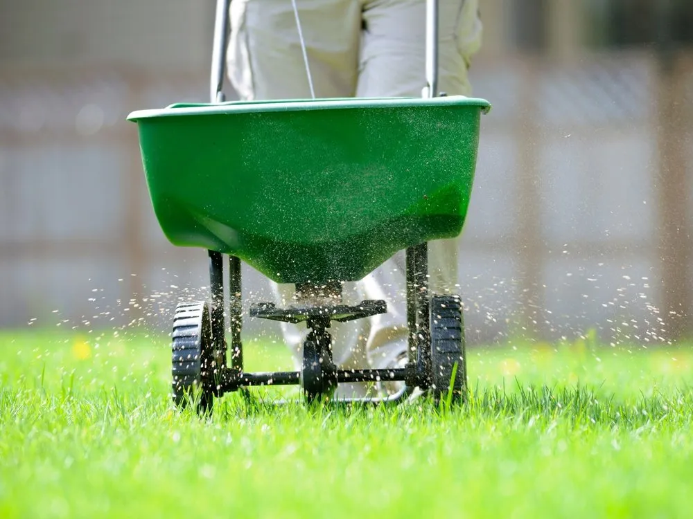 Top-rated residential landscaping experts serving Knoxville, TN - The G.O.A.T. Mowing Company