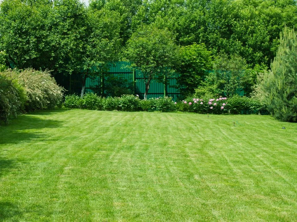 Affordable garden landscaping experts serving Knoxville, TN - The G.O.A.T. Mowing Company