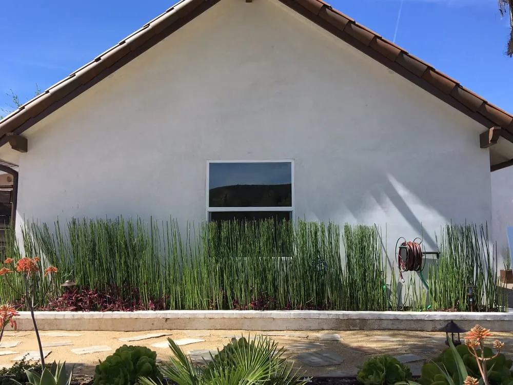 Reliable outdoor landscaping in Westlake Village, CA by The Golden Tree