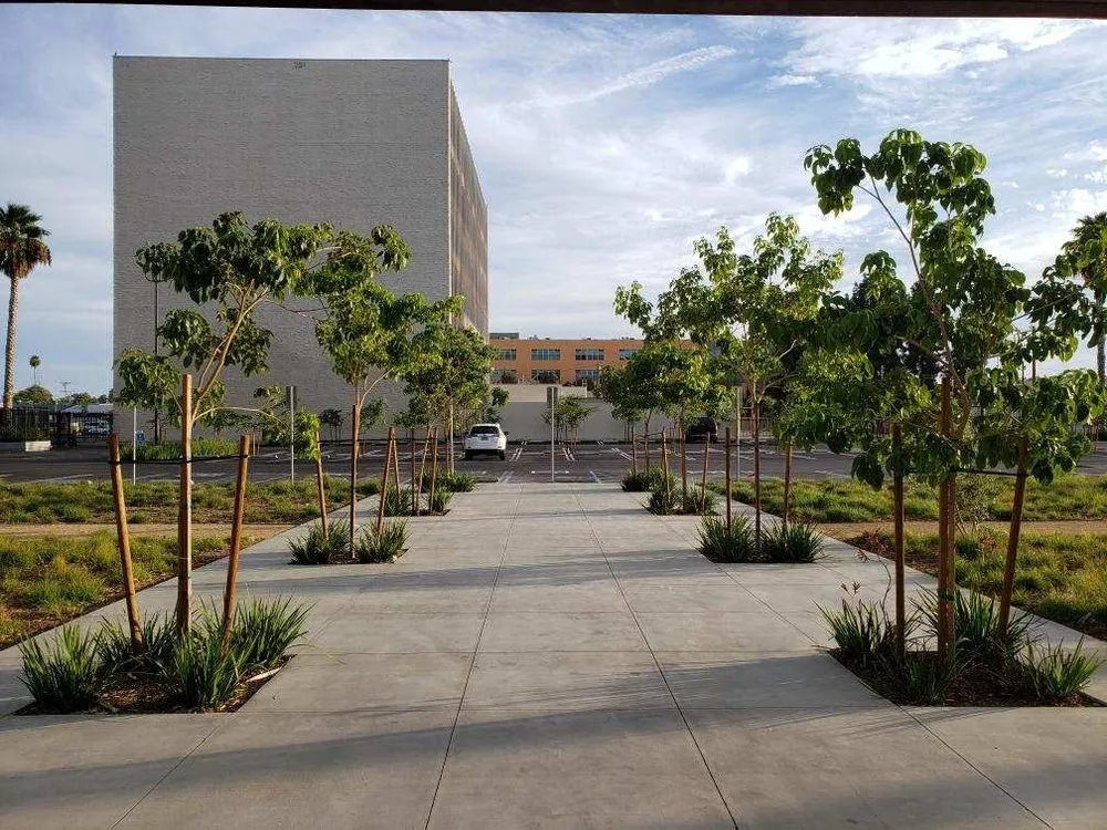 Custom yard cleanup service with custom design in Westlake Village, CA by The Golden Tree