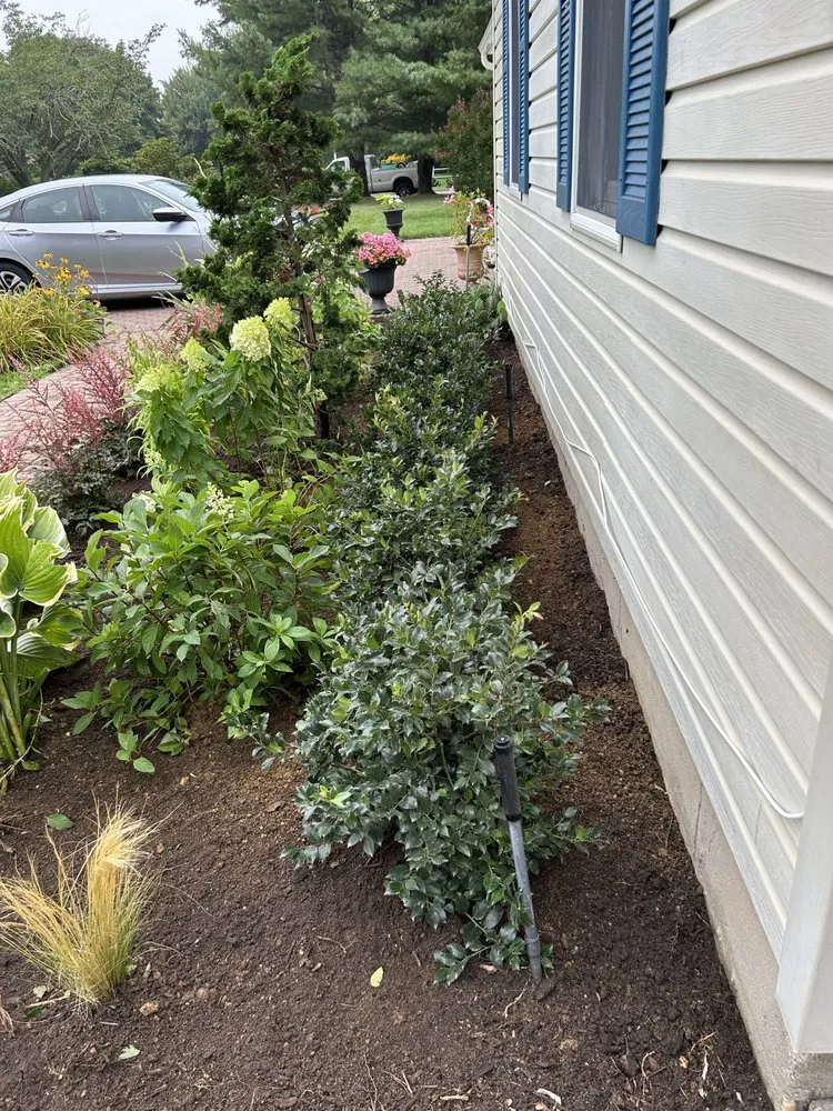 Reliable lawn care service in Jamesport, NY by The Golden Tulip