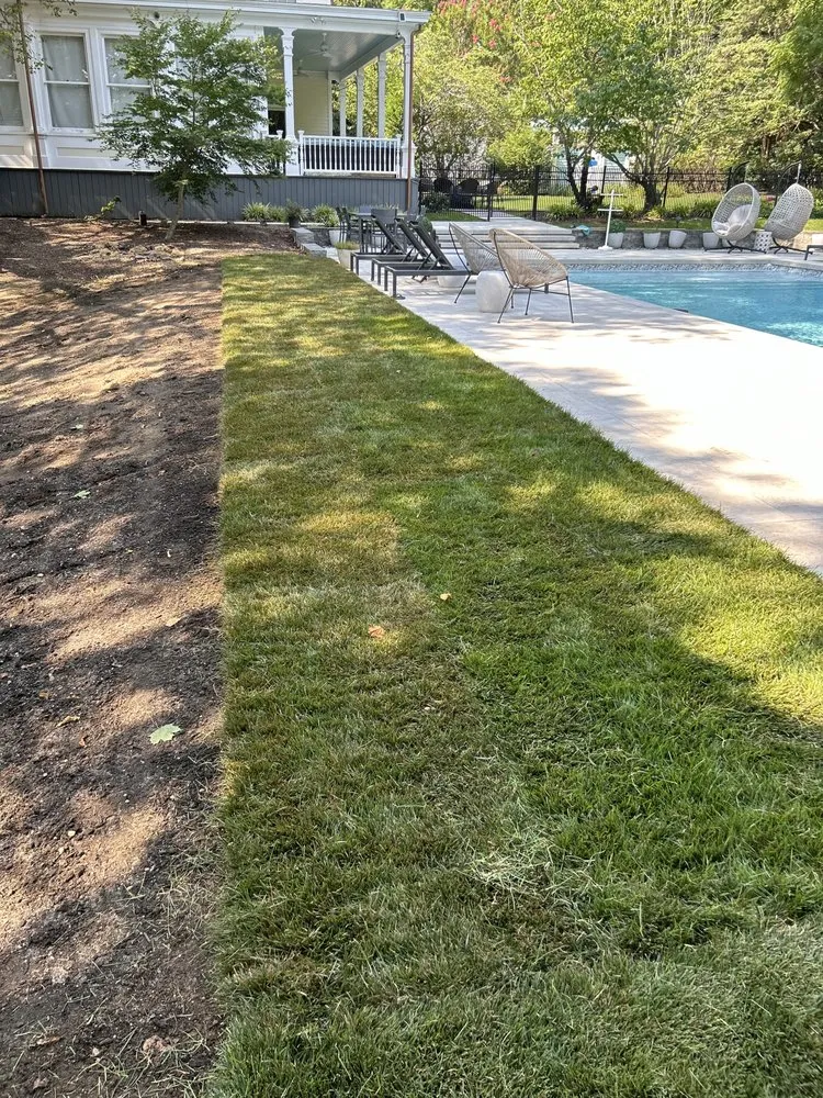 Reliable landscape design in Jamesport, NY - The Golden Tulip