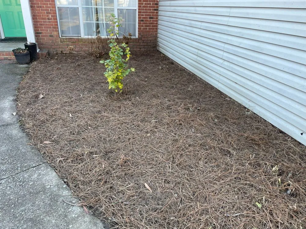 Trusted landscaping services experts serving Columbia, SC - The Good Boys