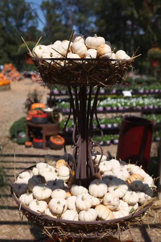 Expert yard maintenance experts serving Little Rock, AR - The Good Earth Garden Center