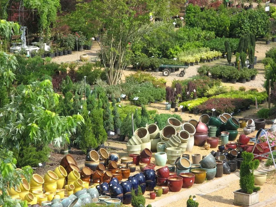 Local yard maintenance in Little Rock, AR - The Good Earth Garden Center