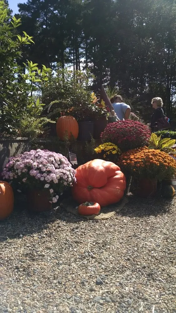 Trusted landscaping services in Little Rock, AR - The Good Earth Garden Center