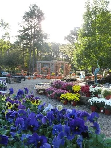 Affordable yard maintenance for residential properties in Little Rock, AR by The Good Earth Garden Center