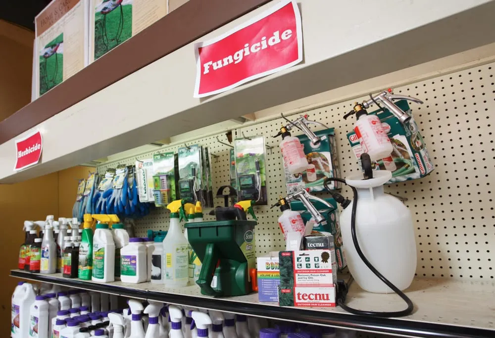 Expert garden landscaping in Little Rock, AR by The Good Earth Garden Center