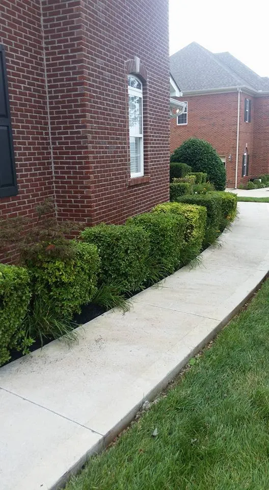 Local landscaping services near you across Knoxville, TN - The Good Ole Boys Landscaping