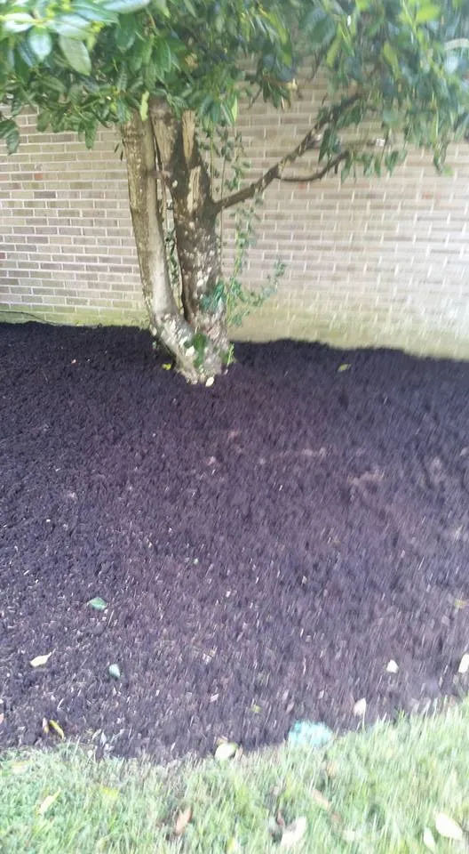 Professional yard maintenance with custom design in Knoxville, TN by The Good Ole Boys Landscaping