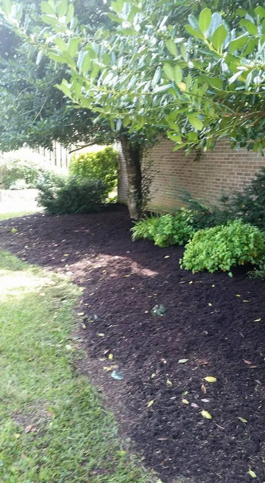 Trusted landscape installation near you in Knoxville, TN by The Good Ole Boys Landscaping