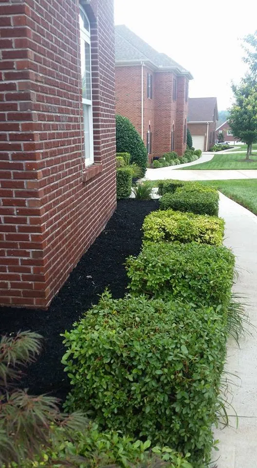 Professional lawn care service for year-round maintenance across Knoxville, TN - The Good Ole Boys Landscaping