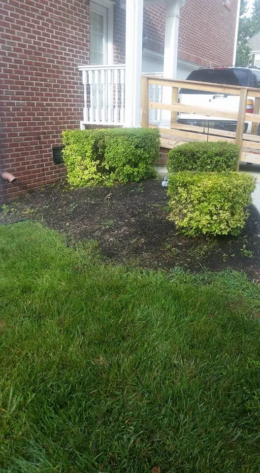 Top-rated landscape installation experts serving Knoxville, TN - The Good Ole Boys Landscaping