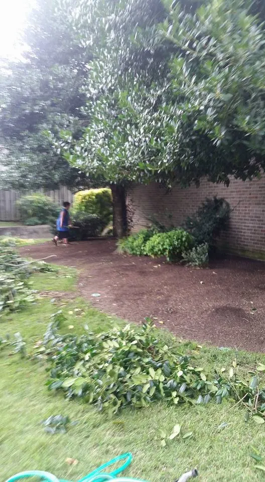 Trusted yard cleanup service for beautiful yards across Knoxville, TN - The Good Ole Boys Landscaping