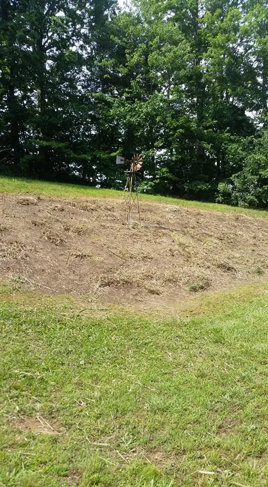 Expert lawn care service for residential properties across Knoxville, TN - The Good Ole Boys Landscaping