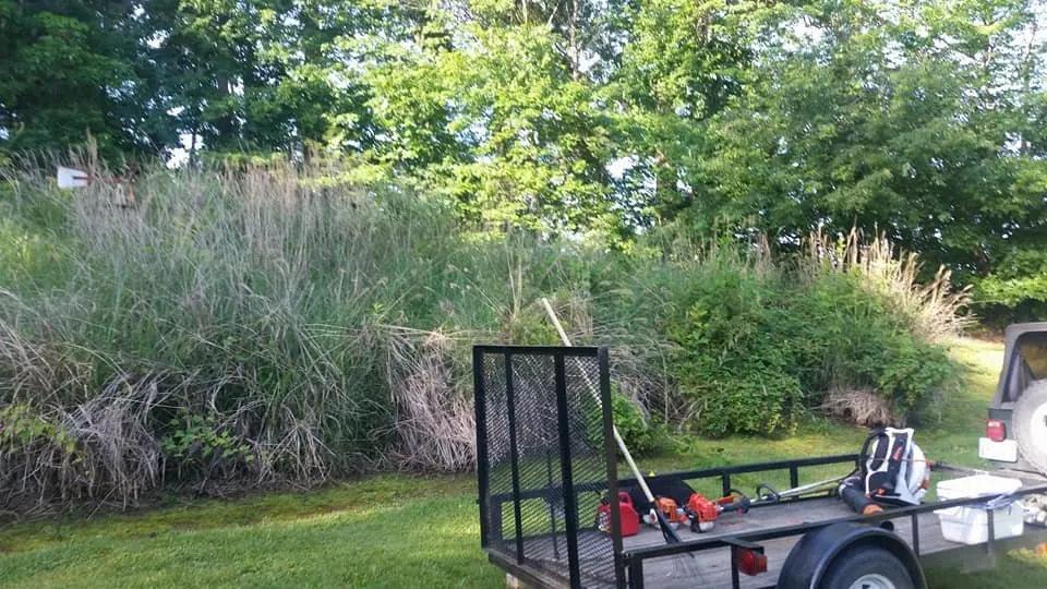 Custom yard cleanup service experts serving Knoxville, TN - The Good Ole Boys Landscaping