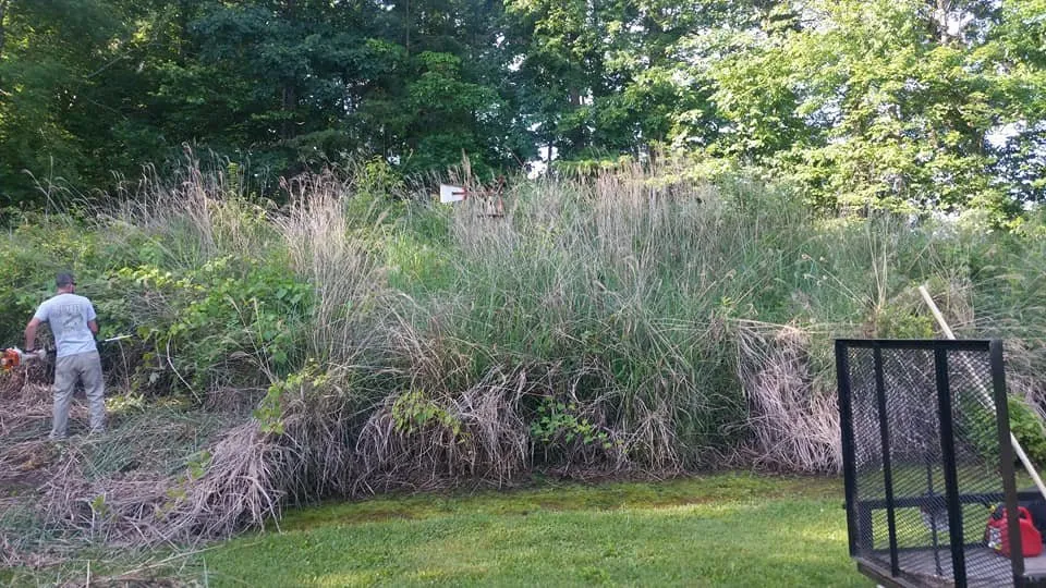 Professional outdoor landscaping in Knoxville, TN by The Good Ole Boys Landscaping