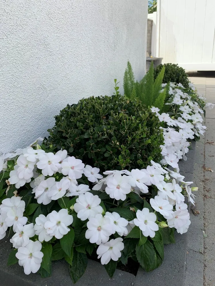 Affordable lawn care service for homes in Costa Mesa, CA by The Good Plant