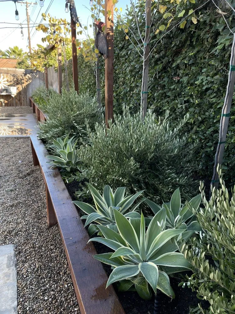 Expert lawn mowing service near you in Costa Mesa, CA by The Good Plant