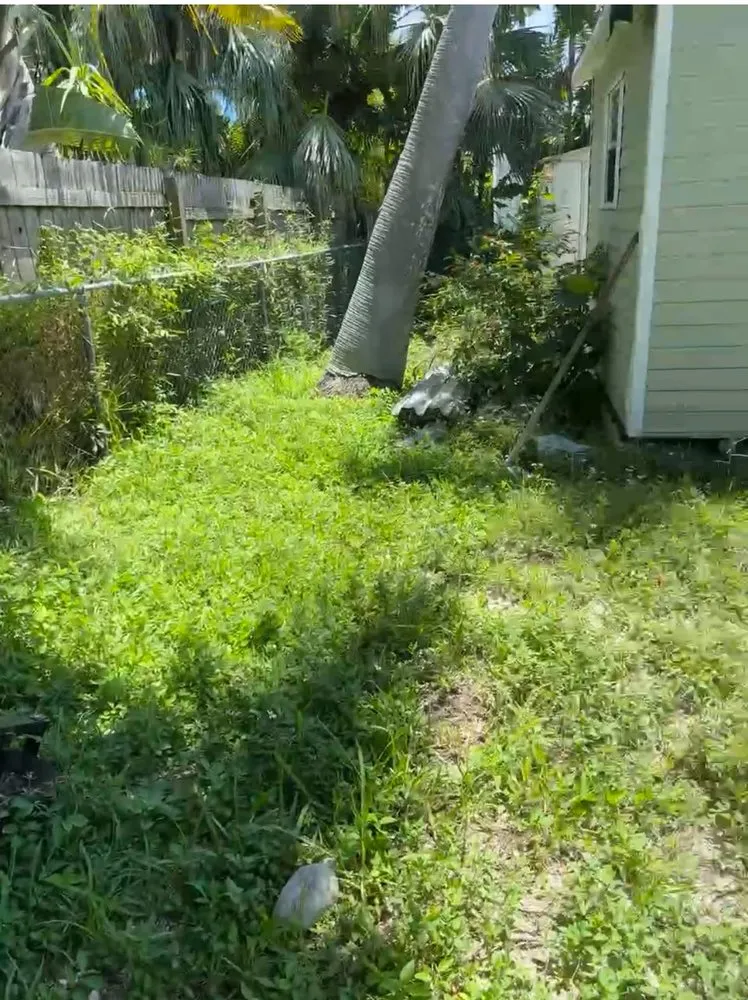 Professional garden landscaping for year-round maintenance in Homestead, FL by The Grace Landscaping