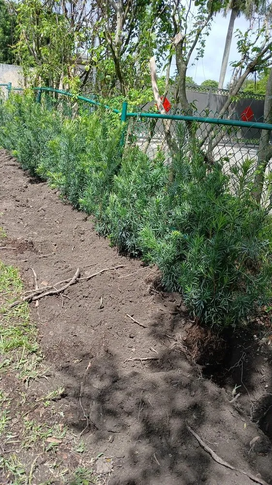 Affordable lawn mowing service in Homestead, FL - The Grace Landscaping