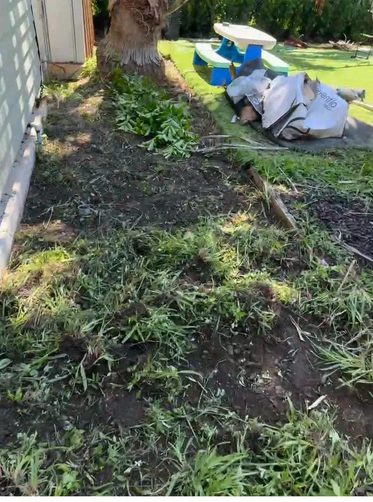 Professional residential landscaping in Homestead, FL - The Grace Landscaping