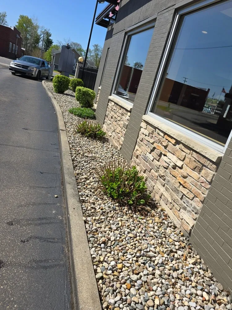 Trusted yard cleanup service in Elkhart, IN - The Grass Assassin's