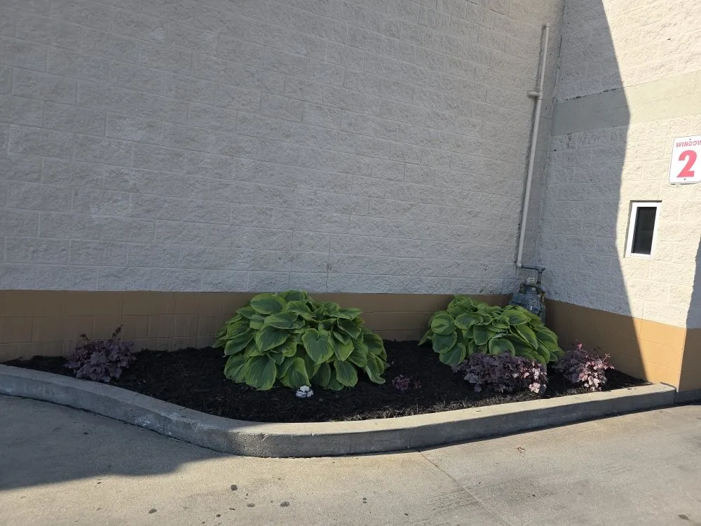 Trusted residential landscaping for beautiful yards across Elkhart, IN - The Grass Assassin's