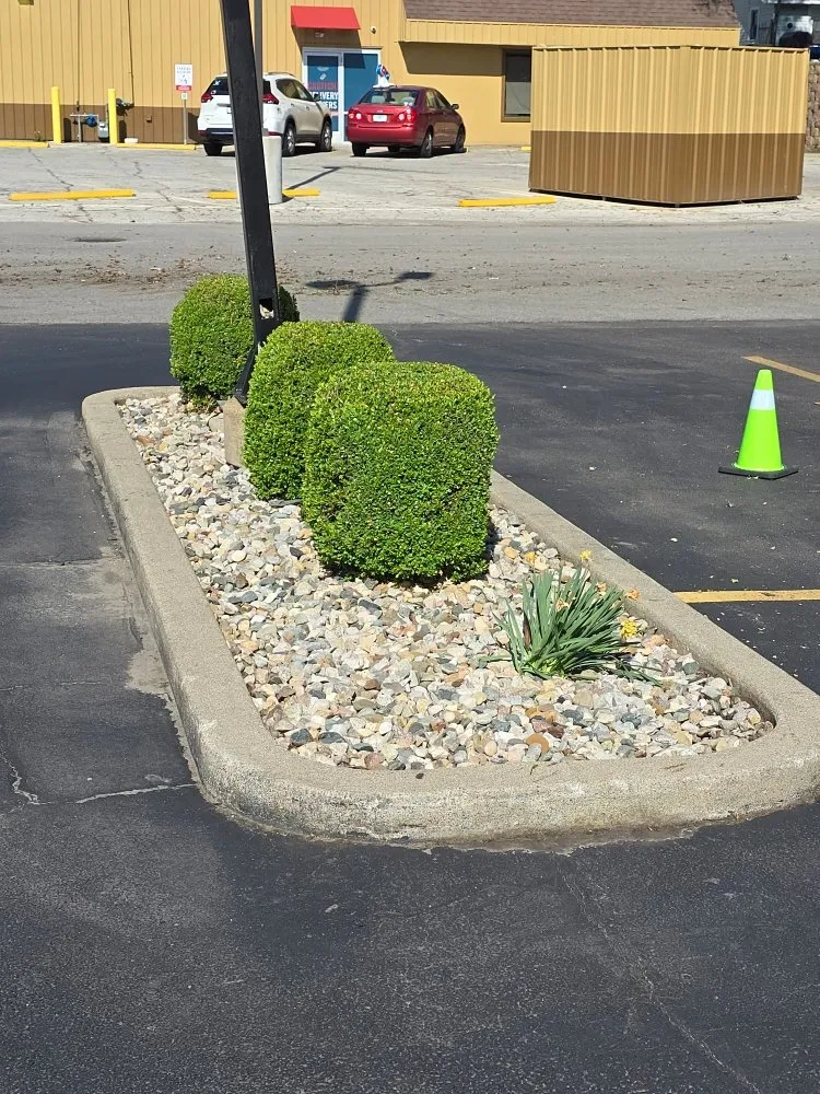 Trusted lawn mowing service experts serving Elkhart, IN - The Grass Assassin's