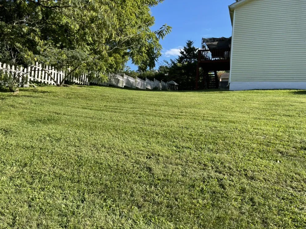 Top-rated yard maintenance in Knoxville, TN - The Grass Barber Lawn Service