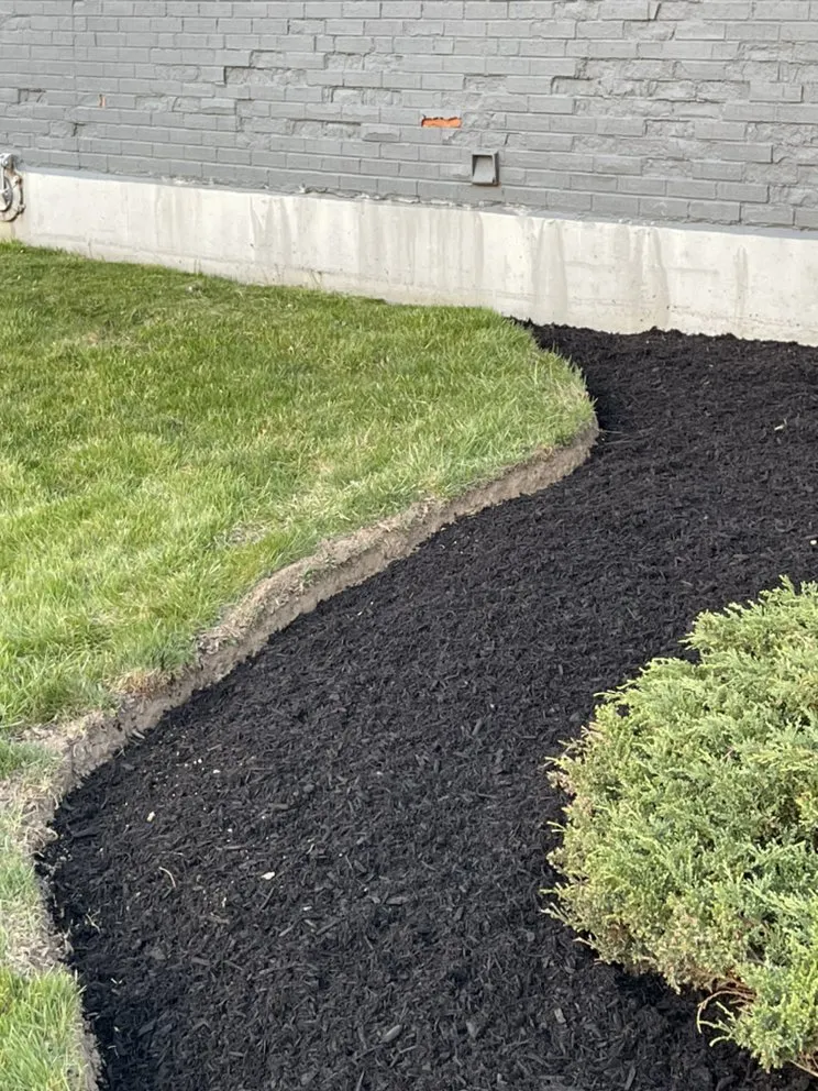 Professional outdoor landscaping for year-round maintenance in Knoxville, TN by The Grass Barber Lawn Service