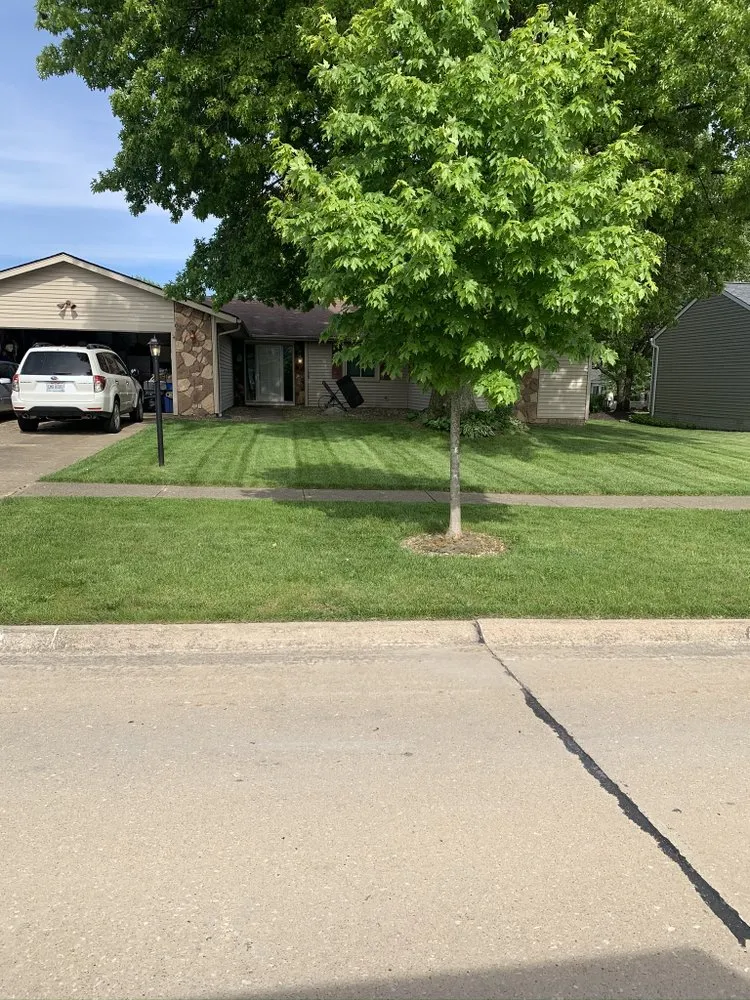 Custom yard cleanup service experts serving Knoxville, TN - The Grass Barber Lawn Service