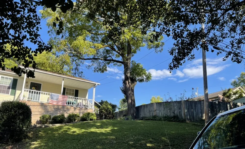 Reliable lawn mowing service for beautiful yards across Knoxville, TN - The Grass Barber Lawn Service