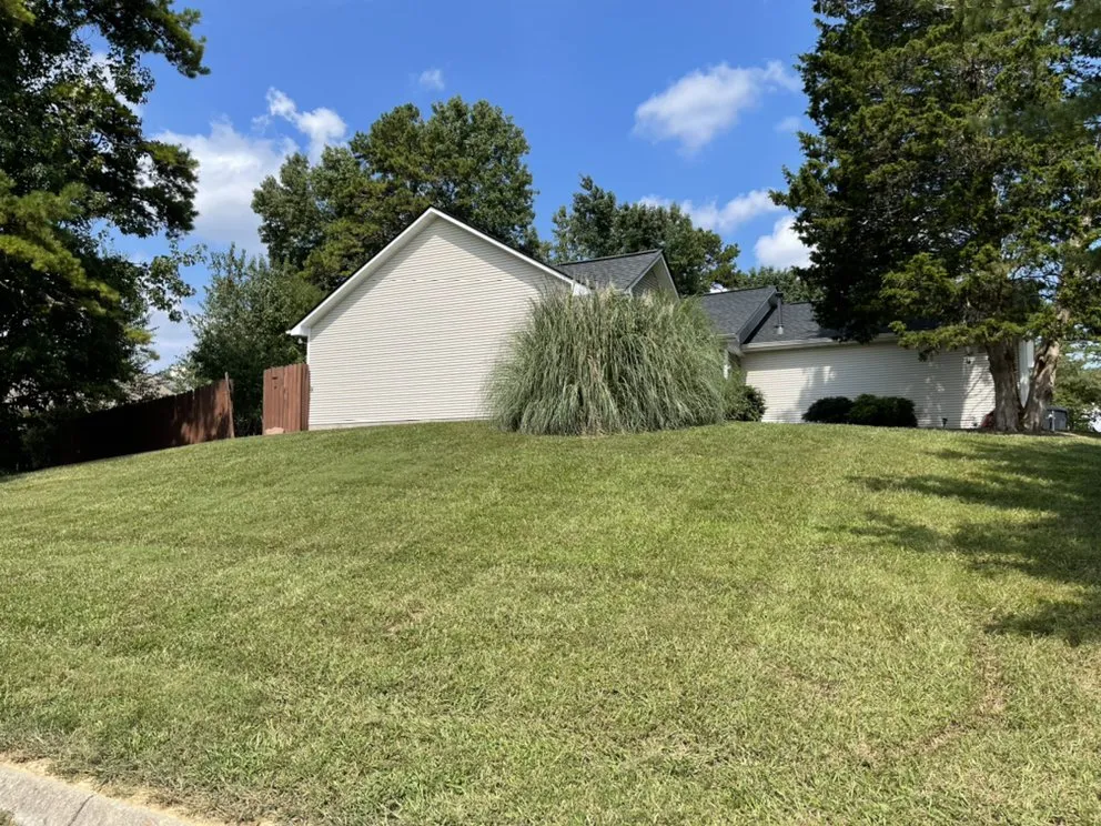 Top-rated yard cleanup service for year-round maintenance in Knoxville, TN by The Grass Barber Lawn Service