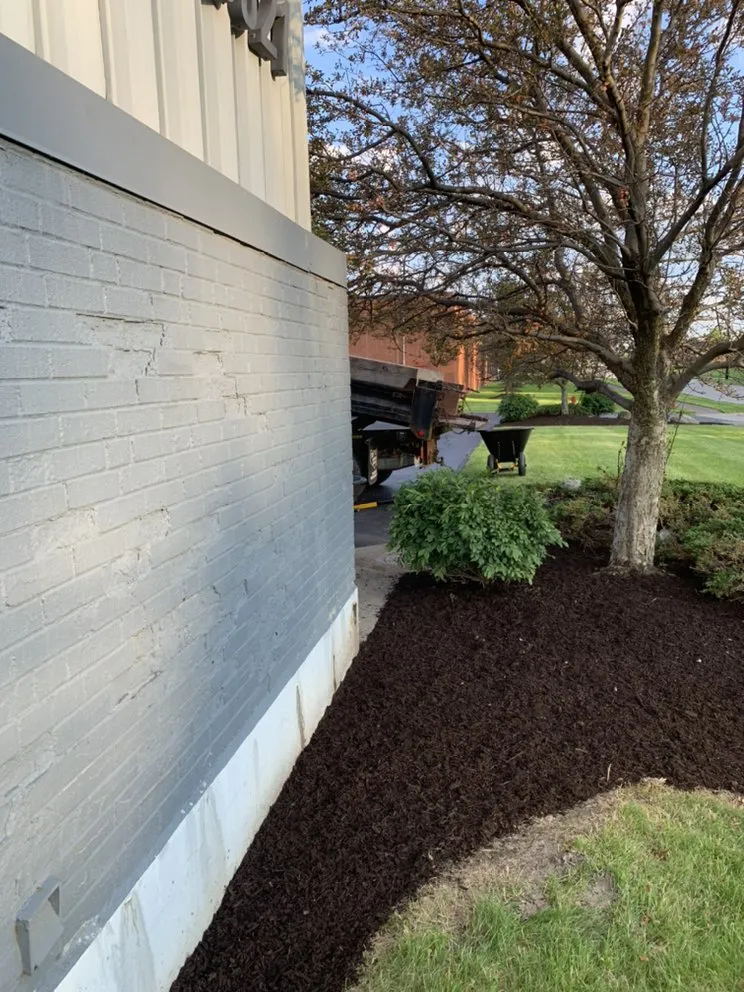 Reliable yard cleanup service experts serving Knoxville, TN - The Grass Barber Lawn Service