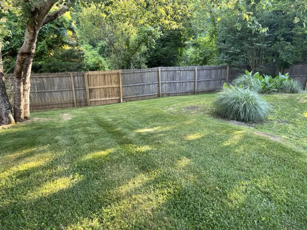 Trusted lawn care service in Knoxville, TN - The Grass Barber Lawn Service
