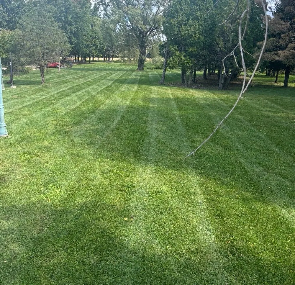 Trusted yard cleanup service in Muskego, WI - The Grass Barbers