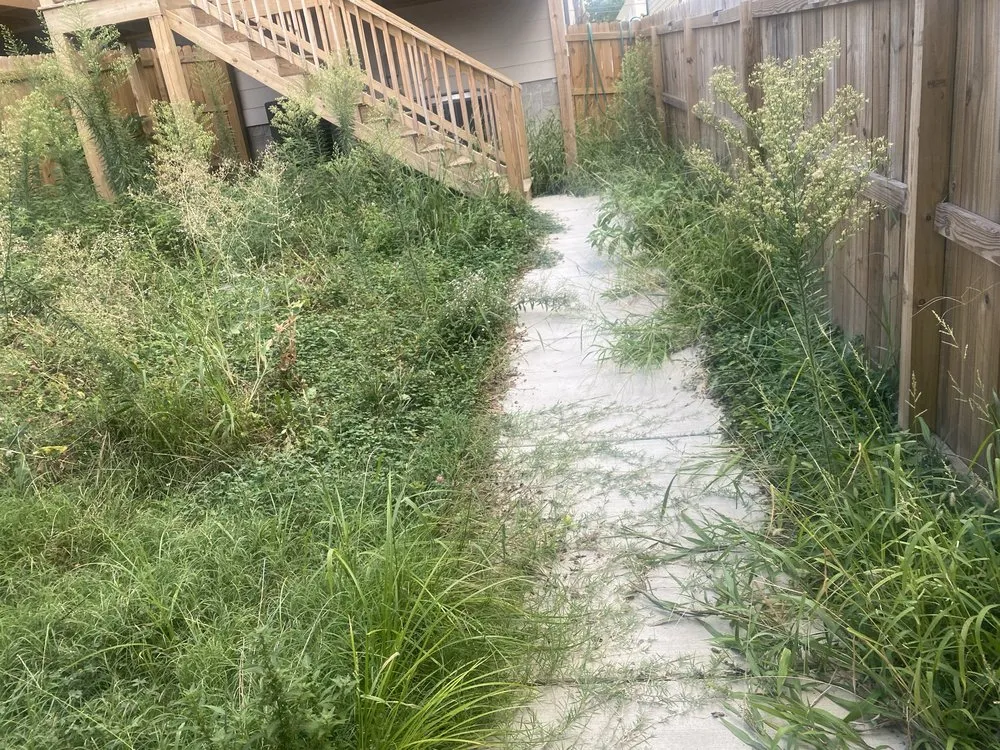 Reliable lawn care service near you across Pulaski, TN - The Grass Commander