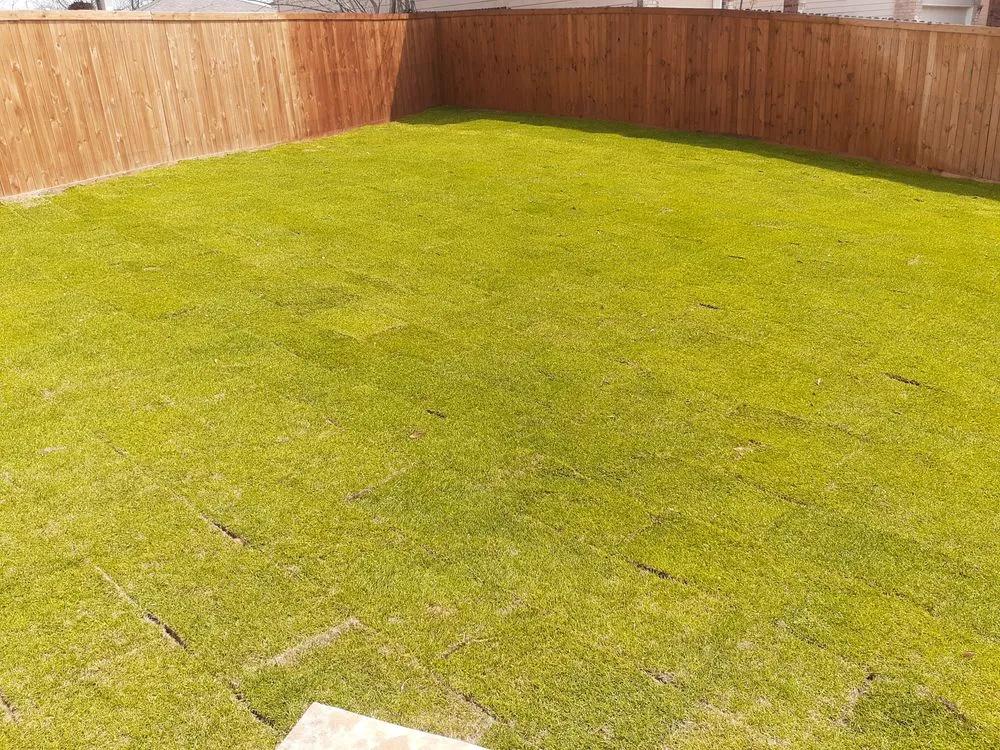 Affordable lawn mowing service in San Antonio, TX - The Grass Company