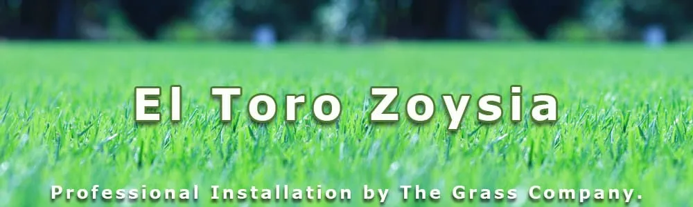 Expert residential landscaping with custom design in San Antonio, TX by The Grass Company