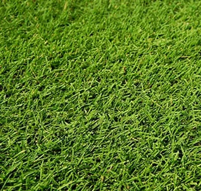 Professional residential landscaping in San Antonio, TX - The Grass Company