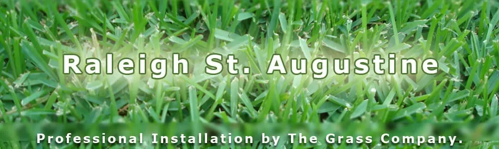 Top-rated landscape design experts serving San Antonio, TX - The Grass Company